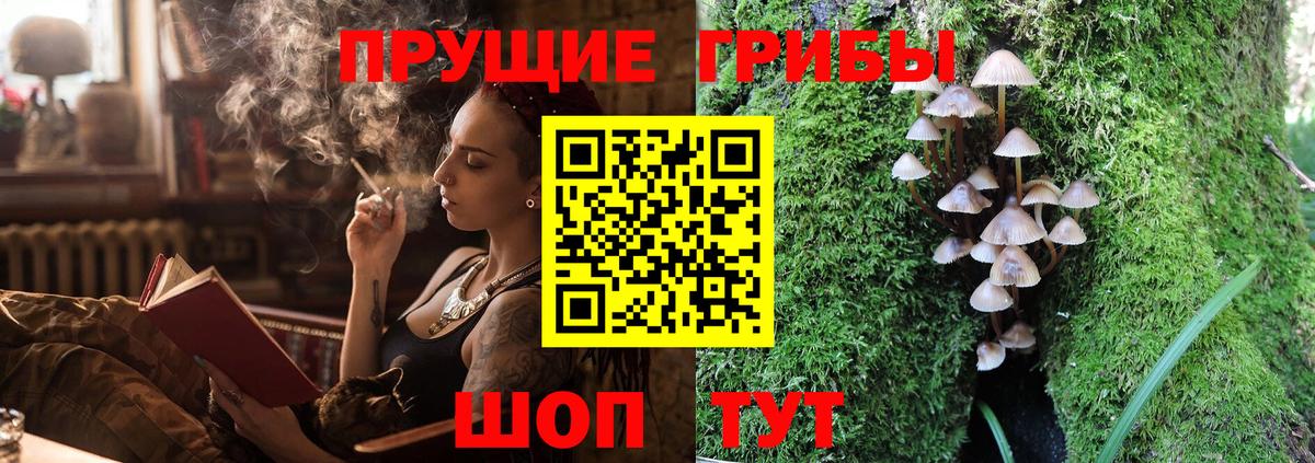 Галлюциногенные грибы Psilocybe  Вход с VPN  Галлюциногенные грибы мухоморы  Коломна 